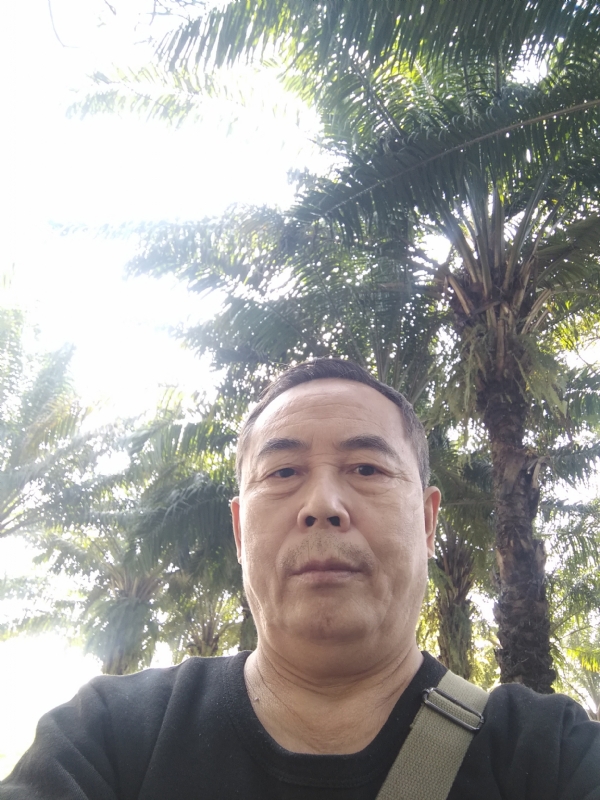 重振雄风的第二张照片--松溪交友网